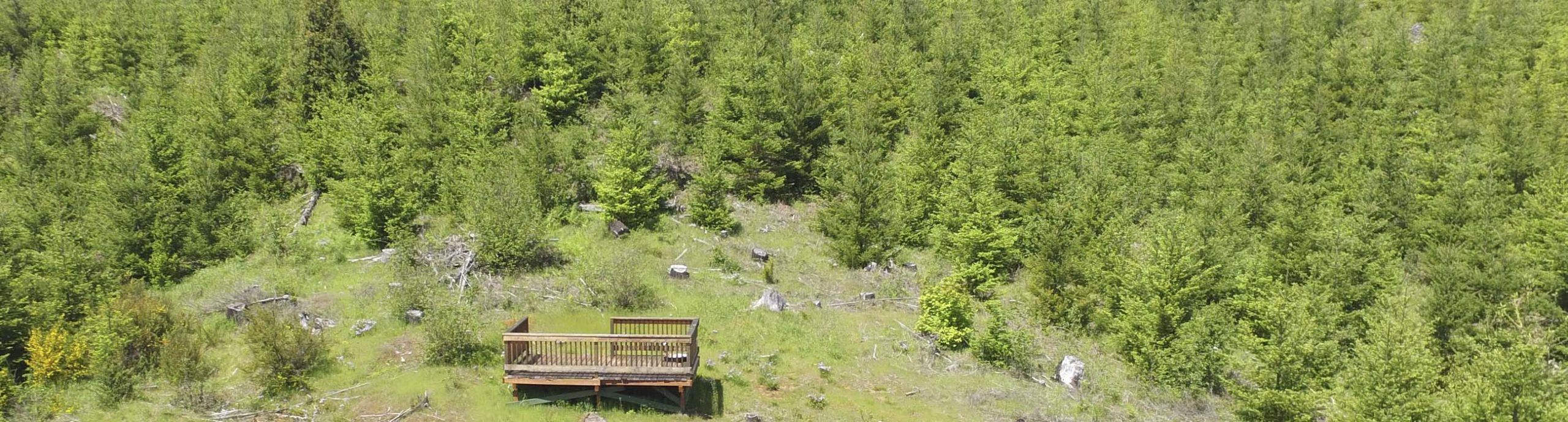 The star-gazing platform in the forest at Camp Lutherwood Oregon