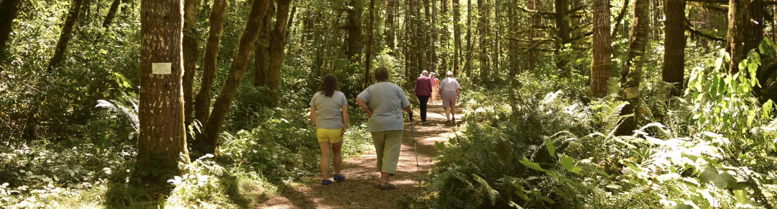 Trails in the forest at Camp Lutherwood Oregon