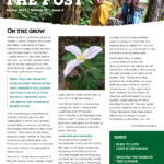 Spring 2023 Newsletter cover